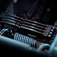 Kingston FURY Beast KF556C40BB-8 8GB System Memory, 5600MT/s, DDR5, CL40, DIMM, Black, AMD EXPO Certified - Image 6