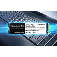 Team MS30 (TM8PS7256G0C101) 256GB, M.2 Sata Interface, PCIe Gen3, Read 550MB/s, Write 470MB/s, 3 Year Warranty - Image 7