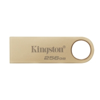 Kingston DataTraveler SE9 G3 256GB USB 3.2 USB Flash Drive, Gold