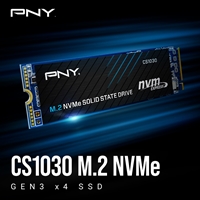 PNY CS1030 (M280CS1030-250-RB) 250GB SSD, PCIe Gen3 x4 Interface,Max Read 2500MB/s, MaxWrite 1100MB/s, 5 Year Limited Warranty - Image 5