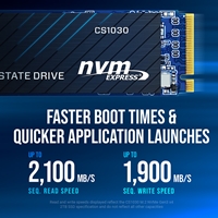 PNY CS1030 (M280CS1030-250-RB) 250GB SSD, PCIe Gen3 x4 Interface,Max Read 2500MB/s, MaxWrite 1100MB/s, 5 Year Limited Warranty - Image 6