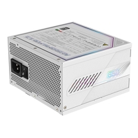 Gigabyte AORUS ELITE ICE 850W White PSU - Fully Modular, 80 PLUS Platinum, ATX 3.1, PCIe 5.0 Ready, 12VHPWR, Silent 120mm FDB Fan, 10-Year Warranty - Image 5
