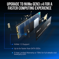 PNY CS1030 (M280CS1030-250-RB) 250GB SSD, PCIe Gen3 x4 Interface,Max Read 2500MB/s, MaxWrite 1100MB/s, 5 Year Limited Warranty - Image 7