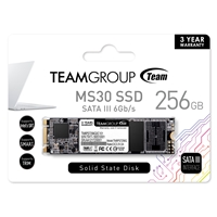 Team MS30 (TM8PS7256G0C101) 256GB, M.2 Sata Interface, PCIe Gen3, Read 550MB/s, Write 470MB/s, 3 Year Warranty - Image 4